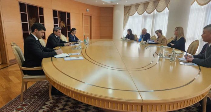 undp-bmg-dim-mid-mfa