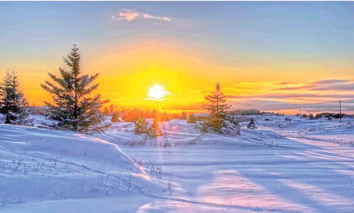 winter-gysh-gar-sowuk