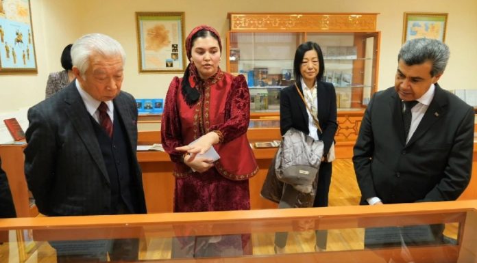 jumamyrat mugallym mid dim mfa institut japan