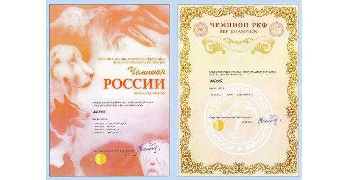rfk-chempion-akdus-ak-dost-owcharka-turkmen-alabay-22-01-002