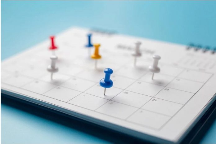 tqze yyl meyilnama new year planning