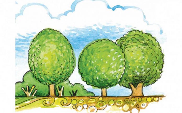 tree-agac-bag-garden