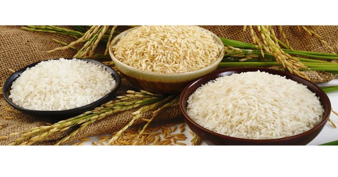 tuwi-shaly-rice-ris-рис