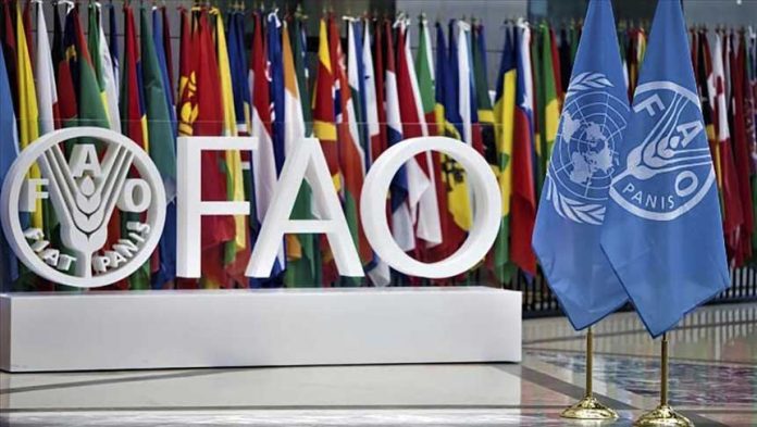 FAO-FIANT-PANIS-LOGO