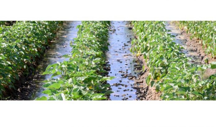fao-agro-oba-hojalyk-фао