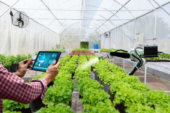 greenhouse-robot-agro-parnik-oba-hojalygy