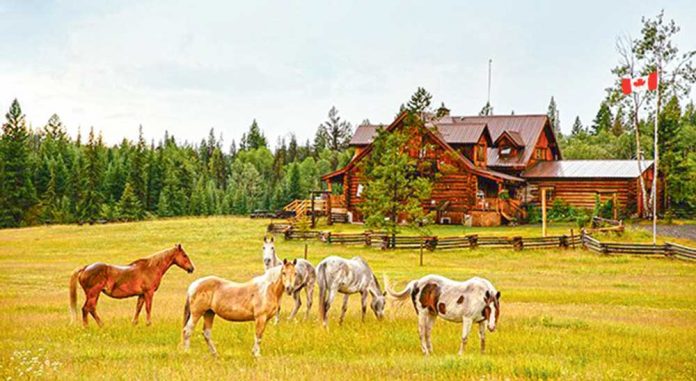 horse-farm-at-athana-seyishana
