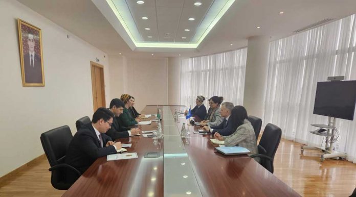 international-labour-organisation-zahmet-guramasi-dimmfa