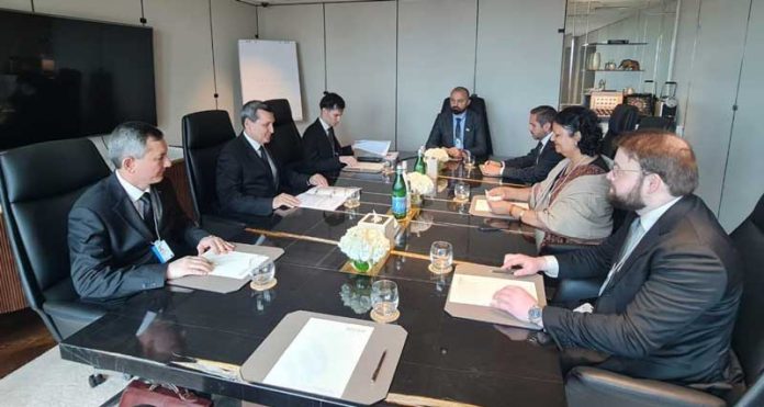 irena-dubai-energy