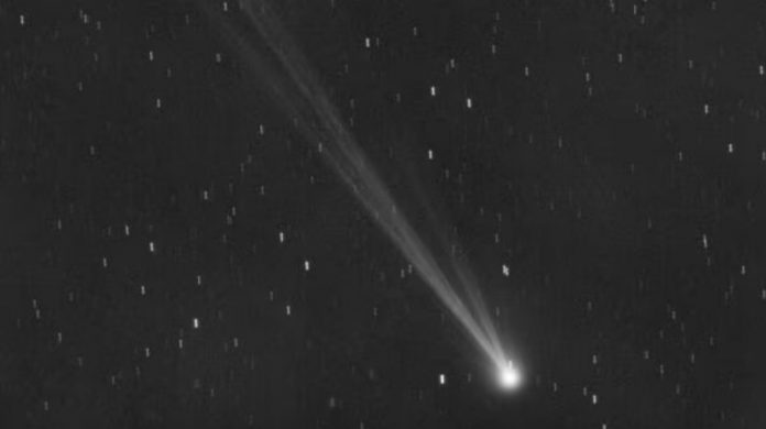 12P Pons Brooks cometa