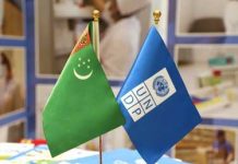 UNDP Turkmenistan Announces Consultancy Opportunity on Air Quality Monitoring in Ashgabat