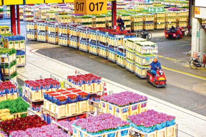 amsterdam-flowers-exchange-netherlands