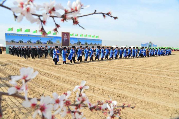pagta-ekishi-cotton-seeding-2024-turkmenistan