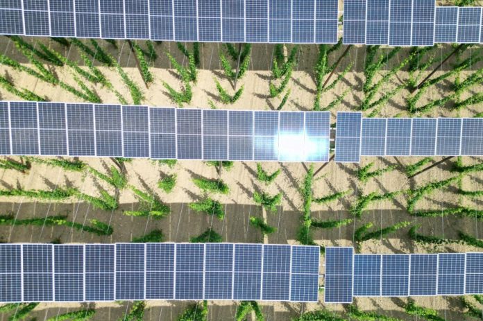 solar panel agro 1255341-1365813266
