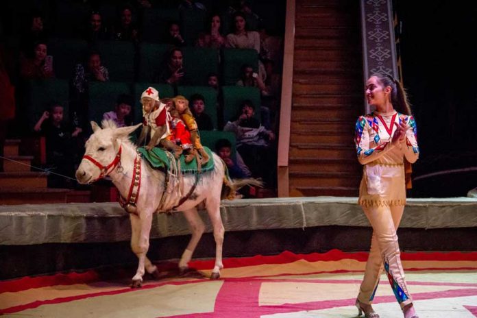 turkmen-sirk-цирк