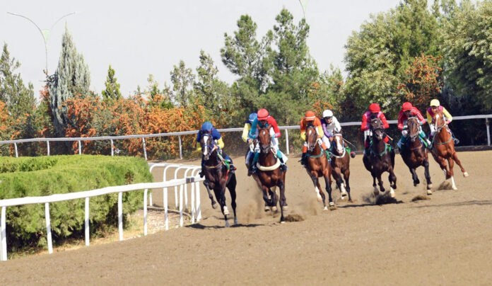 bedew-at-yarysh-horse-race