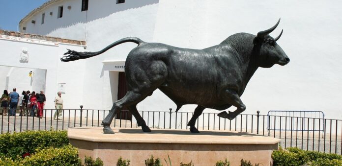 okuz bull