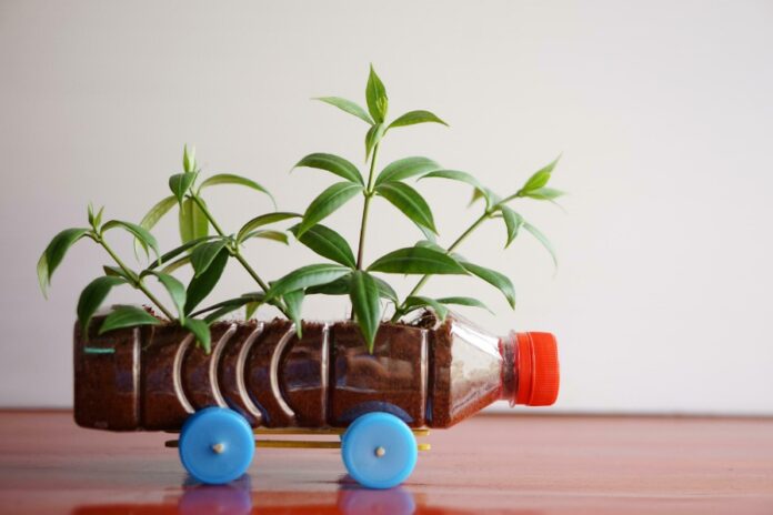 recycled bottle turned to room plant flower