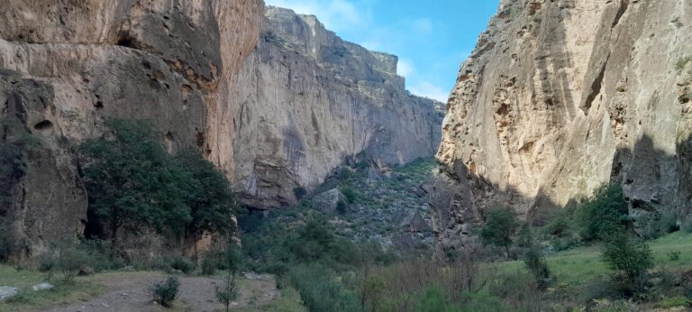 Туркменистан продвигает Койтендагский заповедник в список ЮНЕСКО