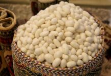 В Балканском велаяте активно ведётся заготовка коконов шелкопряда