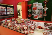 Senagatçylar we telekeçiler birleşmesiniň sergisi geçiriler