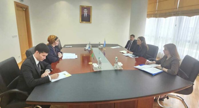 un-comissar-mfa-turkmenistan