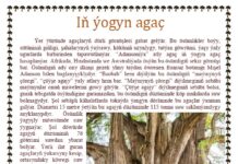 Ösümlik dünýäsi