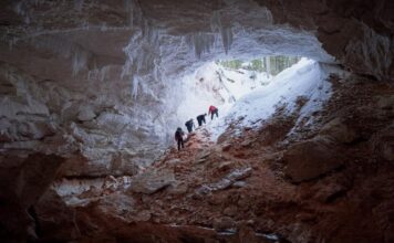 Туркменские студенты исследуют Пинежский заповедник