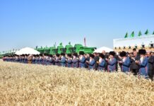Туркменистан готовится к зерноуборочной страде