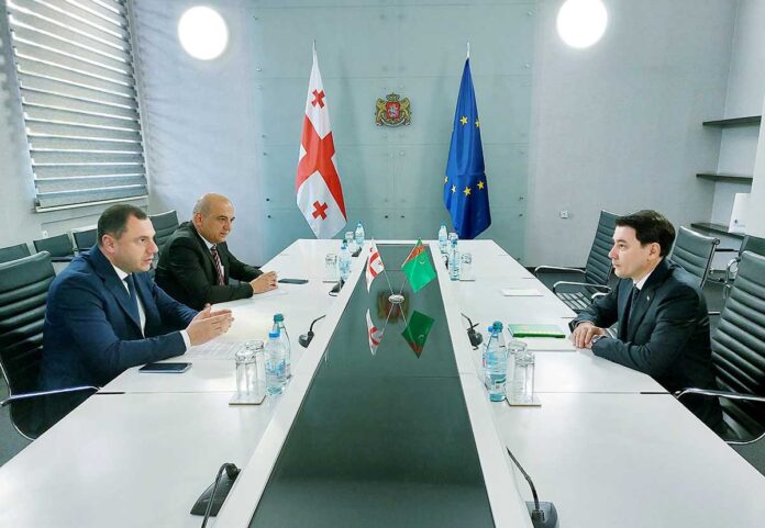 gurjustan-ilci-dowlet-seyitmammedow-dushushyk--040624-25-Gruziya