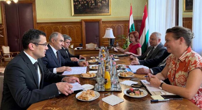 hungary-turkmen-delegation