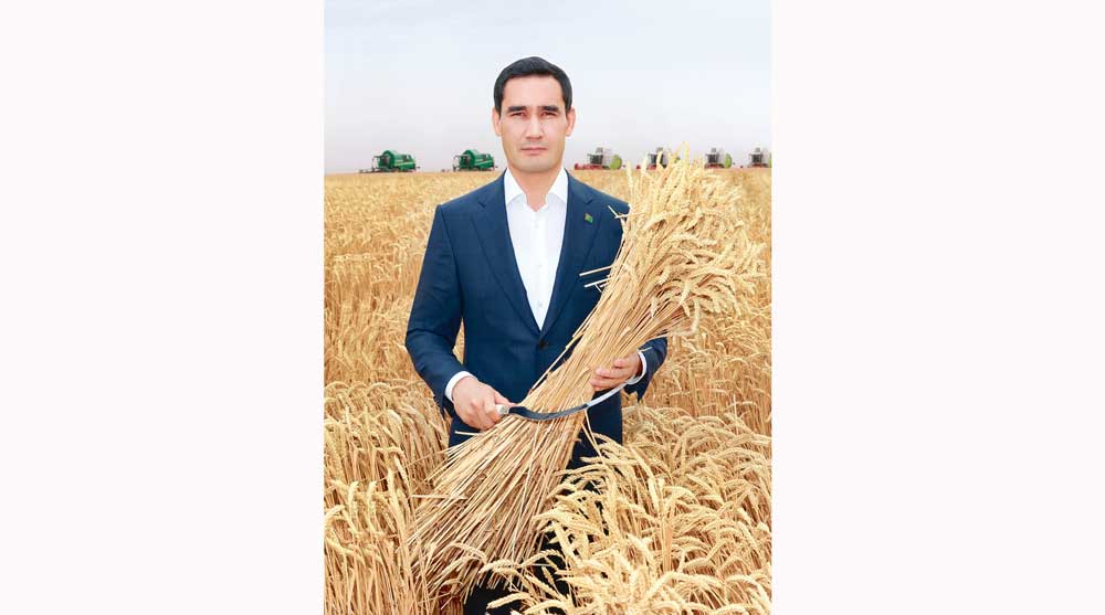serdar-berdimuhamedow-balkan-17-06-001-profile