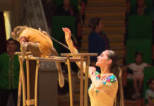 Sirk tomaşasyny görmäge geliň!