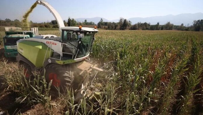 claas combayn kombayn mekgejowen oba hojalyk ekin