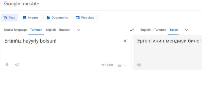 google terjime translate