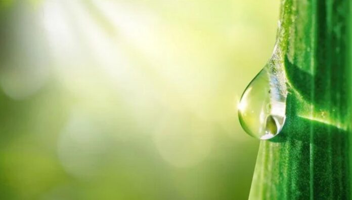 suw water su