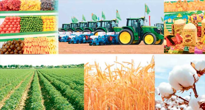 oba-hojalygy-agrosenagat-agriculture-ykdysadyyet