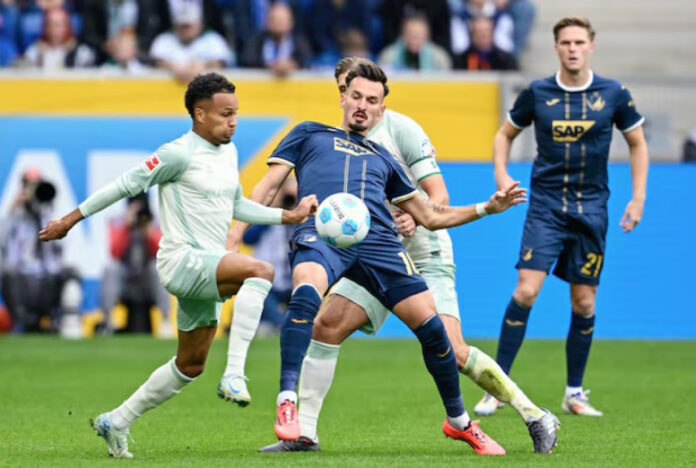 hoffenheim-werder