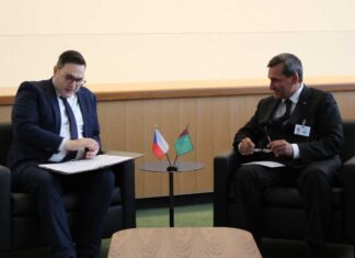Рассмотрены возможности развития туркмено-чешских связей