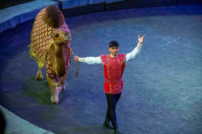 turkmen-sirk-цирк