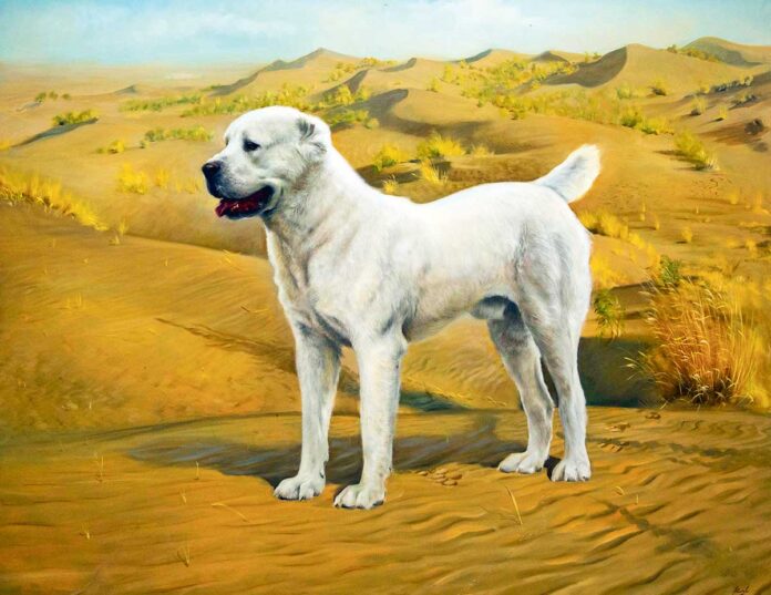 alabay-dog-It