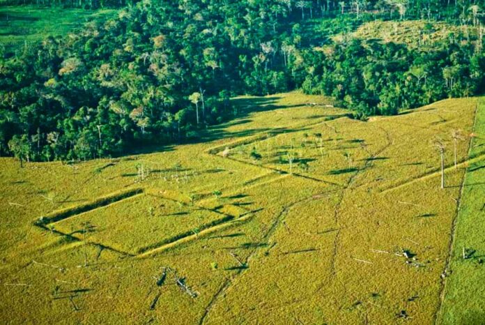 amazon-ancient-city
