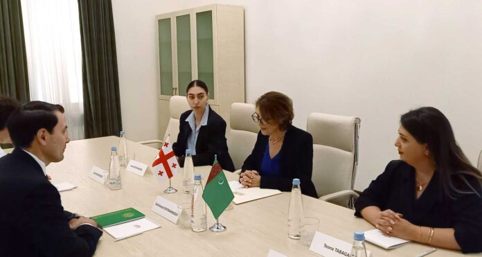 ambassador-of-turkmenistan-dovlet-in-georgia-cultural