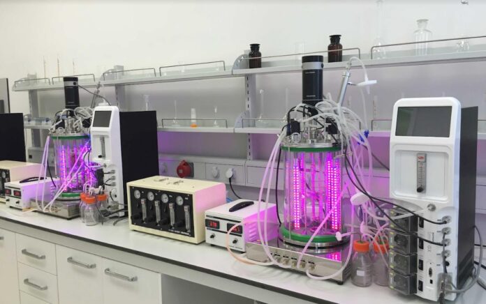 gel urkmen laboratory