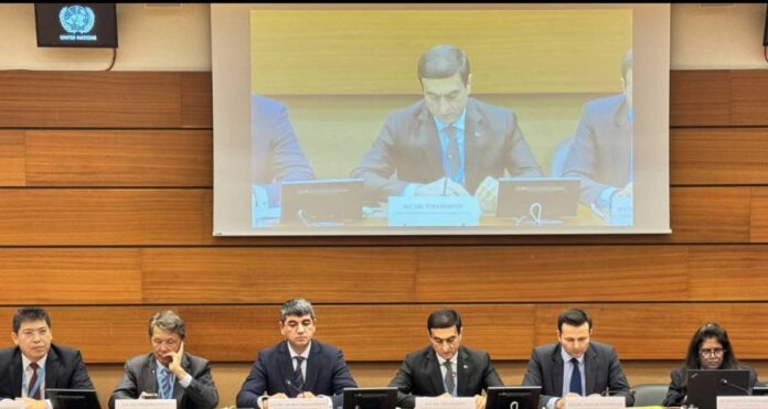 geneva-turkmen-delegation