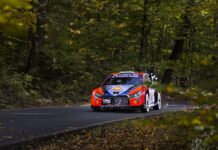 “Hyundai” toparynyň sürüjileriniň biri Toýotada çempion bolar