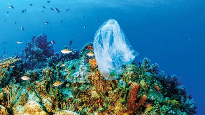 plastics-effect-to-coral-reefs
