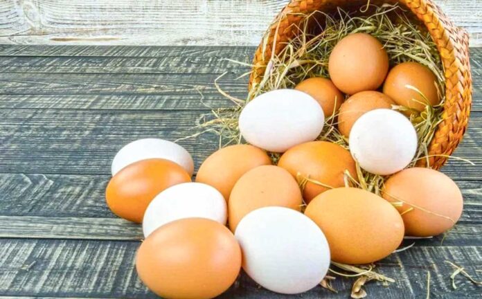 white-and-yellow-egg