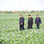 672b097ea310f1268d845533