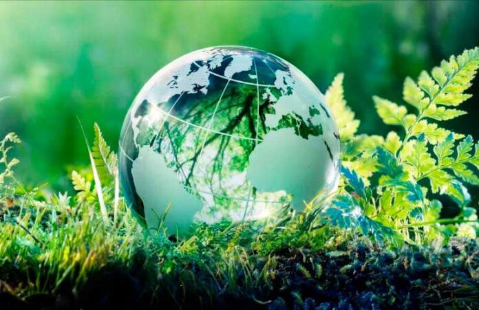 eco-eko-эко